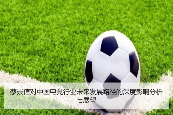 蔡崇信对中国电竞行业未来发展路径的深度影响分析与展望