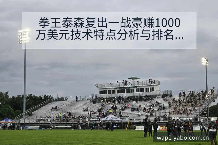 拳王泰森复出一战豪赚1000万美元技术特点分析与排名走势 - 亚博体育